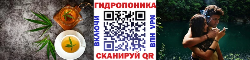 Canna-Cookies конопля Апрелевка