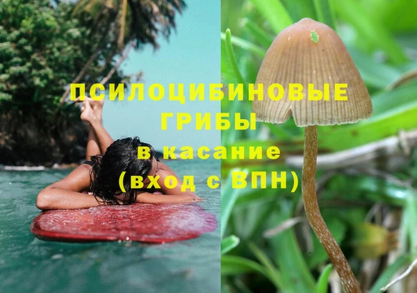 СК Алексеевка