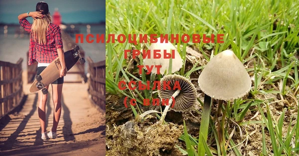 Альфа ПВП Алзамай