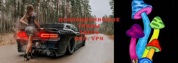СК Алексеевка