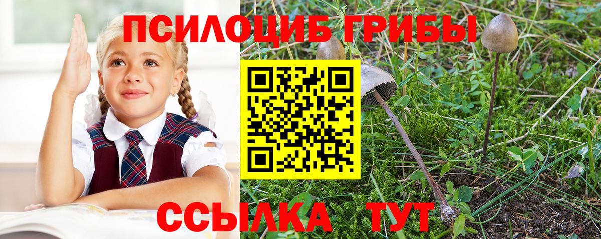 Псилоцибиновые грибы мицелий Апрелевка