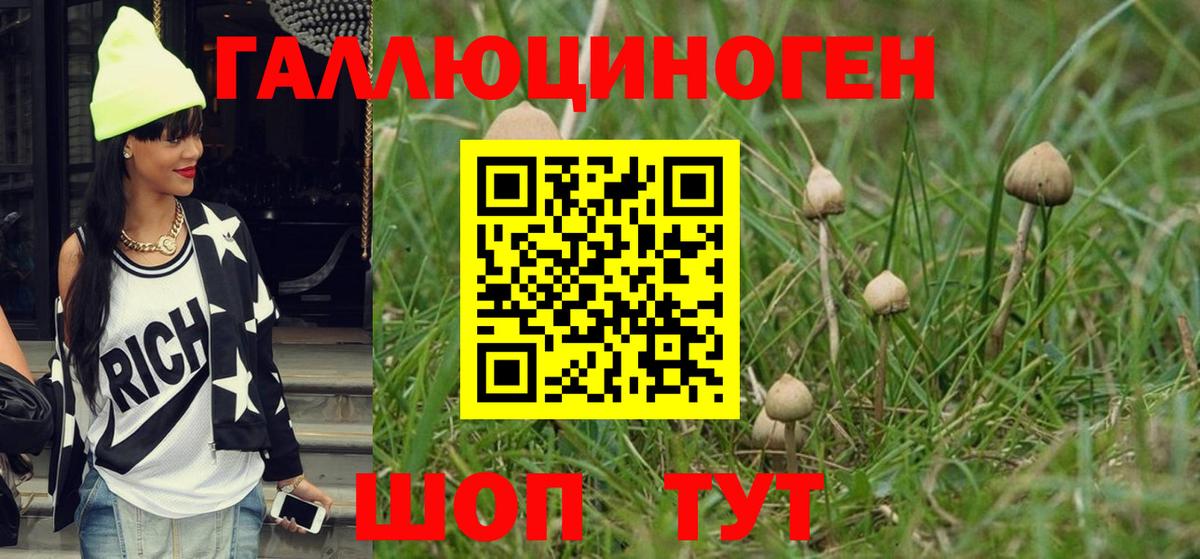 Апрелевка  Галлюциногенные грибы прущие грибы  Вход с VPN 